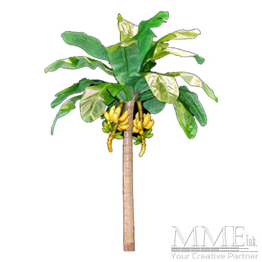 Banana Tree