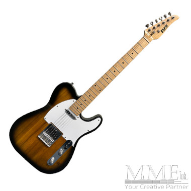 Electric Guitar (Telecaster style)