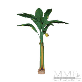 Tropical Banana Tree