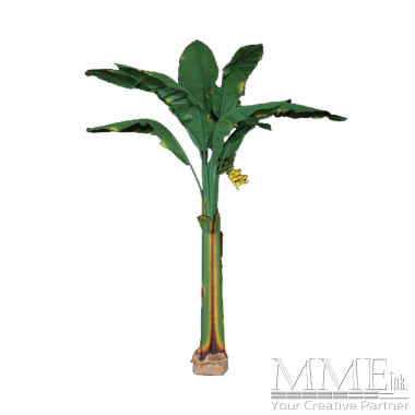 Tropical Banana Tree