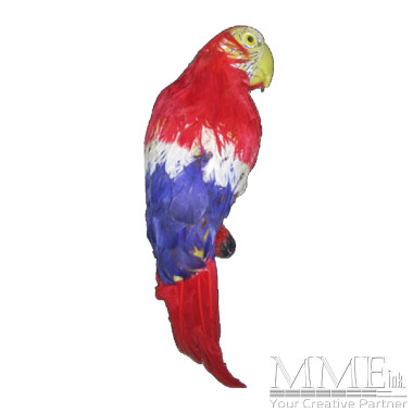Macaw Parrot