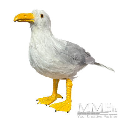 Herring Gull