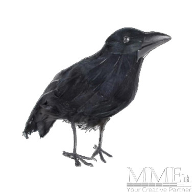Fake Crow