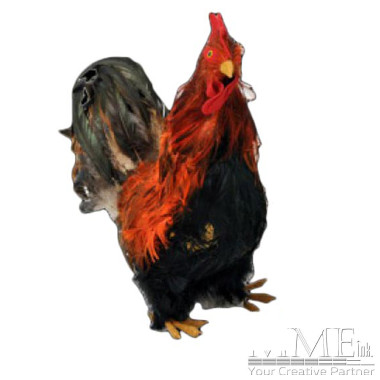 Fake Rooster