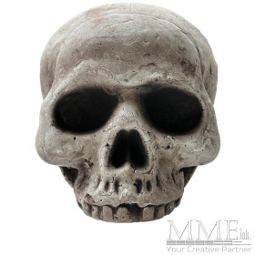 Jawless Skull