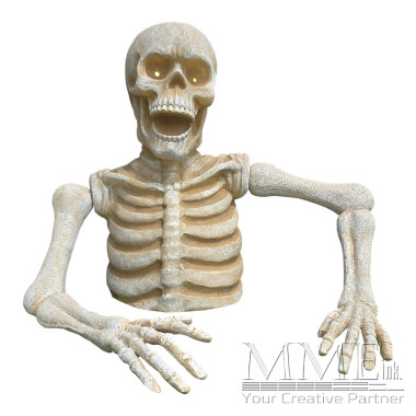 Life Sized Buried Skeleton