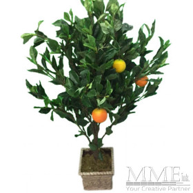Small Orange Tree in Planter