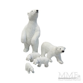 Polar Bears