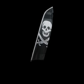 Standing Pirate Flag