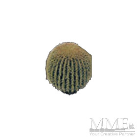 Cactus Small
