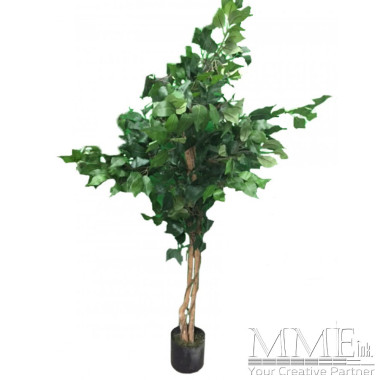 Small Green Leaf Tree