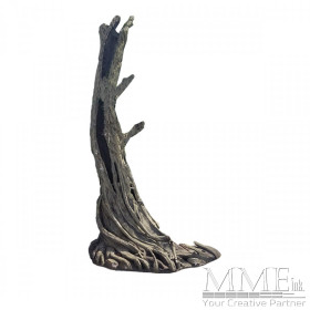 South Pacific Tree Trunk