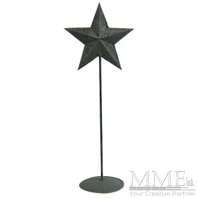 Standing Star
