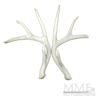 White Antlers